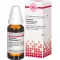 CAUSTICUM HAHNEMANNI D 3 Diluizione, 20 ml