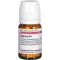 AGARICUS D 4 compresse, 80 pz
