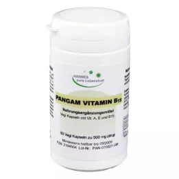 PANGAM Capsule di vitamina B15, 60 pz