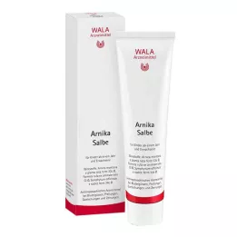 ARNIKA UNGUENTO, 100 g