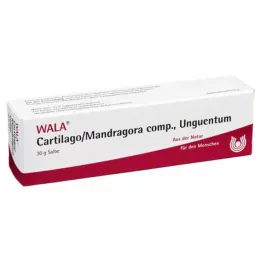 CARTILAGO/Mandragora comp Unguento, 30 g