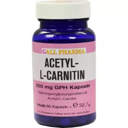 ACETYL-L-CARNITIN 250 mg capsule, 60 pz
