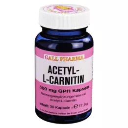 ACETYL-L-CARNITIN 500 mg capsule, 30 pz