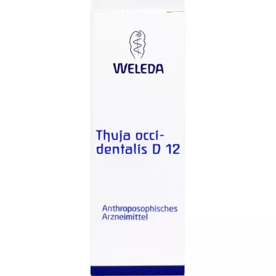 Thuja occidentalis D12, 20 ml Thuja occidentalis D12, 20 ml