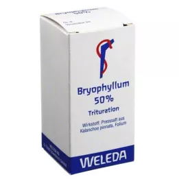BRYOPHYLLUM 50% polvere per uso orale, 20 g
