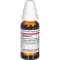 BAPTISIA D 2 Diluizione, 20 ml