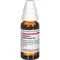 Causticum Gallo D 8, 20 ml