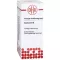 Conium D 8, 20 ml