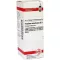 Fraxinus Americ D 3, 20 ml