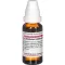 LATRODECTUS mactans D 8 Diluizione, 20 ml