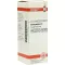 SARSAPARILLA D 2 Diluizione, 20 ml