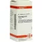 Cimicifuga D10, 80 pz