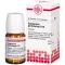 EUPATORIUM PERF D10, 80 pz