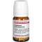 EUPATORIUM PERF D10, 80 pz