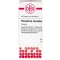 PHOSPHORUS AMORPHUS D 8 compresse, 80 pz