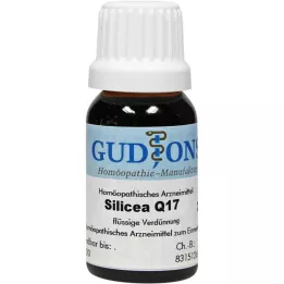 SILICEA Soluzione Q 17, 15 ml