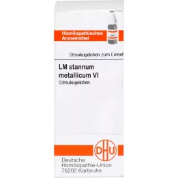 LM Stannmum ha incontrato VI, 5 G