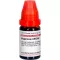Lm hypericum xxiv, 10 ml