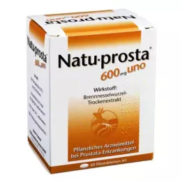 NATUPROSTA 600 mg compresse rivestite con film, 60 pz