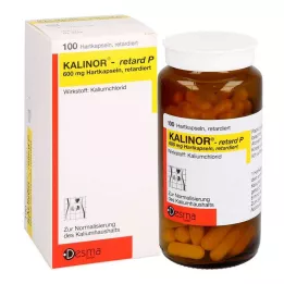 KALINOR retard P 600 mg capsule rigide, 100 pz
