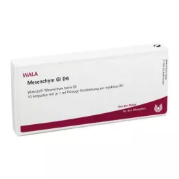 MESENCHYM GL D 6 fiale, 10X1 ml