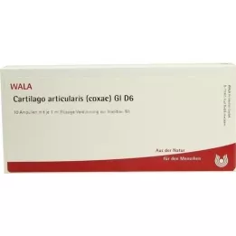 CARTILAGO articolaris coxae GL d 6 ampoule, 10x1 ml