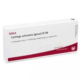 CARTILAGO genere articularis GL D 6 fiale, 10X1 ml