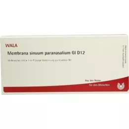 MEMBRANA sinuum paransalium GL d 12 ampoule, 10x1 ml
