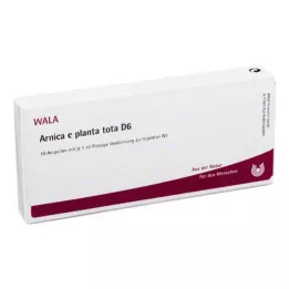 ARNICA E Planta tota D 6 fiale, 10X1 ml