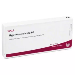 HYPERICUM EX Herba D 6 fiale, 10X1 ml