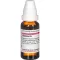 Baptisia D 3, 20 ml