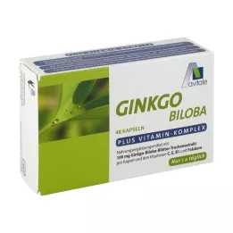 GINKGO Capsule da 100 mg+B1+C+E, 48 pz