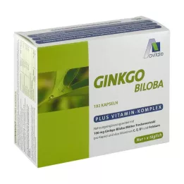GINKGO Capsule da 100 mg+B1+C+E, 192 pz