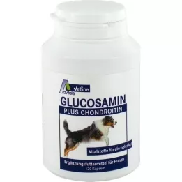GLUCOSAMIN+CHONDROITIN Capsule per cani, 120 pz