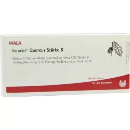 ISCUCIN fiale di quercus Strength B, 10X1 ml
