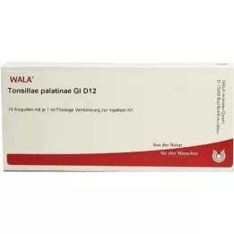 TONSILLAE Palatinae GL D 12 ampoule, 10x1 ml