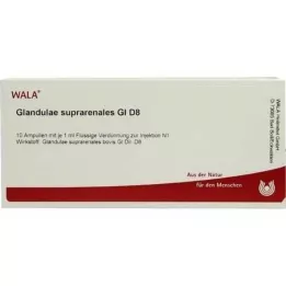 GLANDULAE SUPRARENALES GL D 8 fiale, 10X1 ml