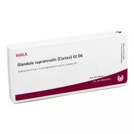GLANDULA SUPRARENALES corteccia GL D 6 fiale, 10X1 ml