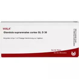 GLANDULA SUPRARENALES Cortex GL D 30 ampoule, 10x1 ml