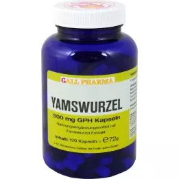 YAMSWURZEL 500 mg GPH capsule, 120 pz