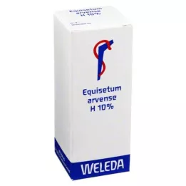 EQUISETUM ARVENSE H 10% olio da cucina, 50 ml