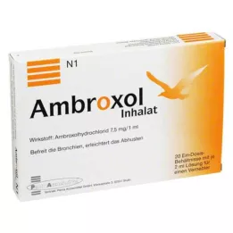 AMBROXOL Soluzione per inalazione per nebulizzatore, 20X2 ml