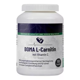 L-CARNITIN 500 capsule, 100 pz