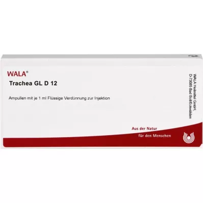 TRACHEA GL D 12 fiale, 10X1 ml
