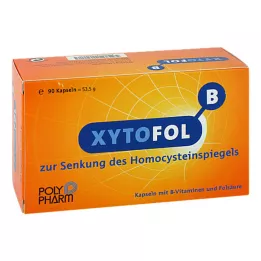 XYTO Capsule Fol B, 90 pz
