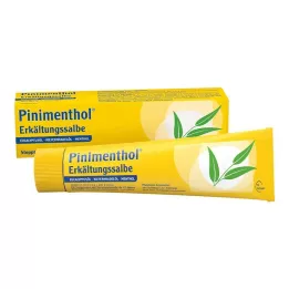 PINIMENTHOL Unguento freddo Eucal./Pino./Menth., 100 g