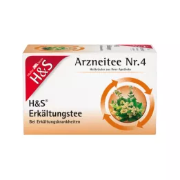H&S Tè freddo V Filtri Bustine, 20X2,0 g