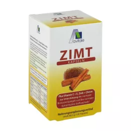 ZIMT KAPSELN 500 mg+Vitamina C+E, 120 pz