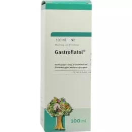 Gastroflatolo, 100 ml