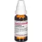 CEANOTHUS AMERICANUS D 3 Diluizione, 20 ml